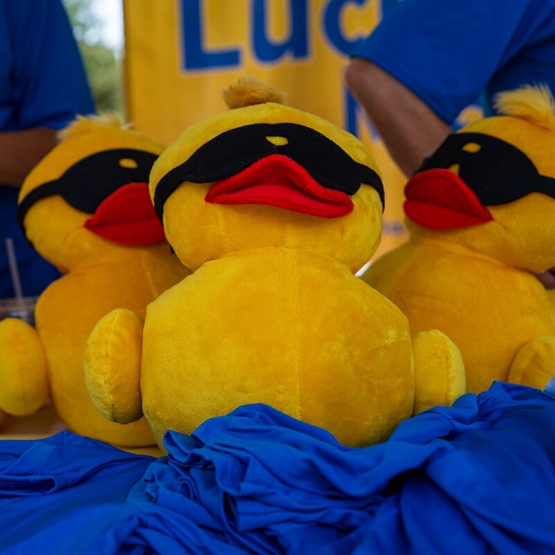 Three large yellow rubber duck plush toys with black sunglasses and red beaks are displayed on a table covered with blue fabric. People in blue shirts and a yellow sign are visible in the background.